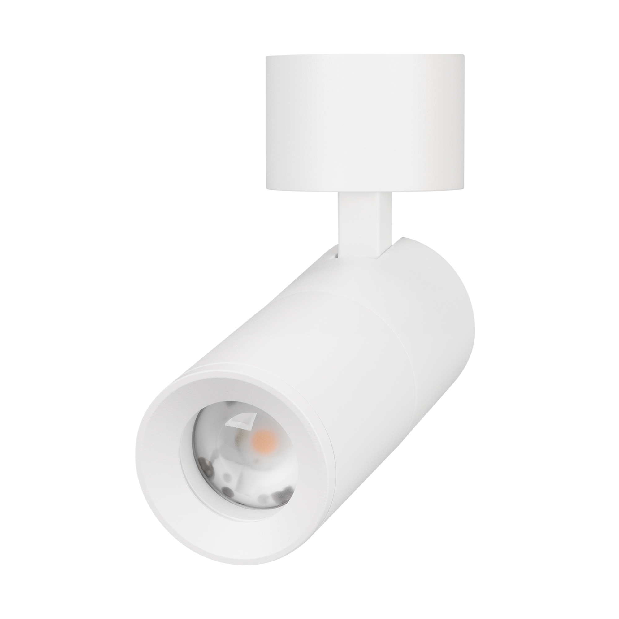 Светильник SP-ARTEMIS-SURFACE-FLAP-R55-12W Day4000 (WH, 8-80 deg, 230V) (Arlight, IP20 Металл, 5 лет)