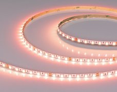 Светодиодная лента RT-H96-5mm 24V RGBW-Day-4-in-1 (10 W/m, IP20, 5m) (Arlight, узкая)