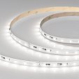 Светодиодная лента IC-A60-10mm 24V Day5000 (4.8 W/m, IP20, 2835, 20m) (Arlight, 4.8 Вт/м, IP20)