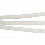 Светодиодная лента RTW 2-5000PW 24V Day4000 2x (5060, 300 LED, LUX) (Arlight, 14.4 Вт/м, IP66)