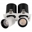 Светильник LGD-PULL-S100x200-2x10W White6000 (WH, 20 deg) (Arlight, IP20 Металл, 3 года)