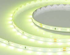 Светодиодная лента RT-A60-8mm 24V Spring Green (4.8 W/m, IP20, 5m) (Arlight, -)