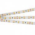 Светодиодная лента CC-5000 3A White 2X (5060, 300 LED, EXP) (Arlight, 12 Вт/м, IP20)