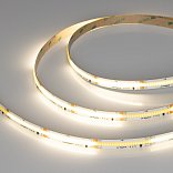 Светодиодная лента SPI-COB-X378-12mm 24V Day4000-PX21-BPT (8 W/m, IP20, 5m) (Arlight, бегущий огонь)