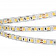 Светодиодная лента RT 6-5050-96 24V Cool 10K 3x (480 LED) (Arlight, 23 Вт/м, IP20)