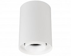 Светильник SP-FOCUS-R86-10W Day4000 (WH, 15 deg, 230V) (Arlight, IP54 Металл, 5 лет)