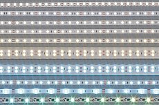 В чем отличие светодиодных лент White, Day White, Warm White, Cool White?