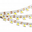 Светодиодная лента RV 2-5000 12V Cool 2X (5060, 300 LED, 0-90) (Arlight, Открытый)