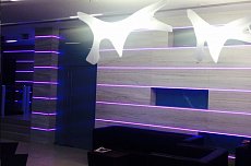 Светодиодная подсветка ресепшена в Бизнес-центре «Хамелеон»