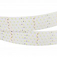 Светодиодная лента RT 2-2500 24V Day4000 5x2 (2835, 875 LED, LUX) (Arlight, 36 Вт/м, IP20)