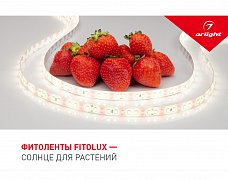 Буклет FITOLUX. 2022 (Arlight, -)