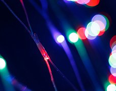 Светодиодная гирлянда ARD-NETLIGHT-HOME-1500x1000-CLEAR-96LED RGB (230V, 9W) (Ardecoled, IP20)