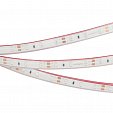 Светодиодная лента RTW 2-5000PGS 12V Blue (3528, 300 LED, LUX) (Arlight, 4.8 Вт/м, IP67)