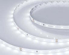 Светодиодная лента RT-A60-8mm 24V Day5000 CRI98 (4.8 W/m, IP20, 2835, 5m) (Arlight, 4.8 Вт/м, IP20)