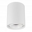 Светильник SP-FOCUS-R132-24W Day4000 (WH, 15 deg, 230V) (Arlight, IP54 Металл, 5 лет)