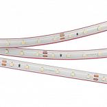 Светодиодная лента RTW 2-5000PS-50m 24V White6000 (3528, 60 LED/m, LUX) (Arlight, 4.8 Вт/м, IP67)