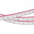 Светодиодная лента RSW 2-5000P 12V Blue 2x (335, 600 LED, LUX) (Arlight, Закрытый)