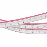 Светодиодная лента RSW 2-5000P 12V Blue 2x (335, 600 LED, LUX) (Arlight, Закрытый)