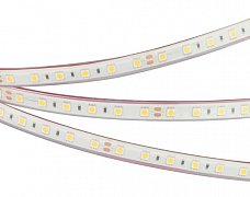 Светодиодная лента RTW 2-5000PGS 24V Day 2x (5060, 300 LED, LUX) (Arlight, 14.4 Вт/м, IP67)