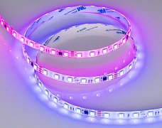 Светодиодная лента герметичная SPI-SE-B60-10mm 24V RGB-PX6-BPT (12 W/m, IP65, 5060, 5m) (Arlight, бегущий огонь)