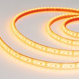 Светодиодная лента герметичная RTW-PGS-A120-11mm 12V Yellow (9.6 W/m, IP67, 2835, 5m) (Arlight, -)