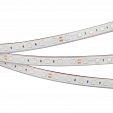 Светодиодная лента RTW 2-5000PGS 24V Yellow 2x (5060, 300 LED, LUX) (Arlight, 14.4 Вт/м, IP67)