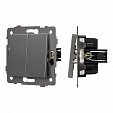 Механизм выключателя двухклавишный непроходной SWT-MK02-PL-GR-V (250V, 10A) (Arlight, -)