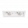 Светильник MS-VORTEX-BUILT-S170x90-2x12W Day4000 (WH-WH, 20 deg, 230V) (Arlight, IP20 Металл, 5 лет)