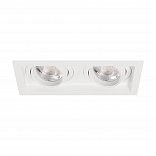 Светильник MS-VORTEX-BUILT-S170x90-2x12W Day4000 (WH-WH, 20 deg, 230V) (Arlight, IP20 Металл, 5 лет)
