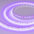 Светодиодная лента RT-A120-8mm 24V Violet (9.6 W/m, IP20, 2835, 5m) (Arlight, -)