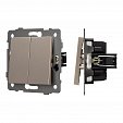 Механизм выключателя двухклавишный непроходной SWT-MK02-PL-GD-V (250V, 10A) (Arlight, -)