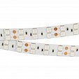 Светодиодная лента RT 2-5000 24V Blue 2x2 (5060, 600 LED, LUX) (Arlight, 28.8 Вт/м, IP20)