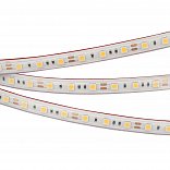Светодиодная лента RTW 2-5000PS 12V Cool 8K 2x (5060, 300 LED, LUX) (Arlight, 14.4 Вт/м, IP67)