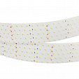 Светодиодная лента RT 2-2500 24V Warm3000 5x2 (2835, 875 LED, LUX) (Arlight, 36 Вт/м, IP20)