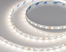 Светодиодная лента RT-B60-10mm 24V White-MIX 2Ch (14.4 W/m, IP20, 5060, 5m) (Arlight, Изменяемая ЦТ)