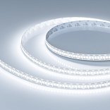 Светодиодная лента FC-A240-10mm 24V White6000-CX1 (24 W/m, IP20, 5m) (Arlight, резка 1 светодиод)