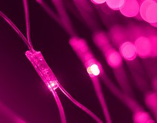Светодиодная гирлянда ARD-NETLIGHT-CLASSIC-2000x1500-CLEAR-288LED Pink (230V, 18W) (Ardecoled, IP65)