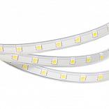 Светодиодная лента ARL-W5060PG-50-220V Cool 9000K (500 LED, 10m) (Arlight, Герметичный)