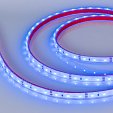 Светодиодная лента герметичная RTW-PGS-A60-11mm 12V Blue (4.8 W/m, IP67, 2835, 5m) (Arlight, -)