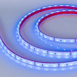 Светодиодная лента герметичная RTW-PGS-A60-11mm 12V Blue (4.8 W/m, IP67, 2835, 5m) (Arlight, -)