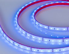 Светодиодная лента герметичная RTW-PGS-A60-11mm 12V Blue (4.8 W/m, IP67, 2835, 5m) (Arlight, -)