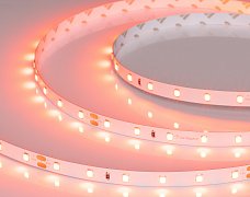 Светодиодная лента RT-A60-8mm 24V Carrot (4.8 W/m, IP20, 5m) (Arlight, -)