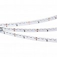 Светодиодная лента RS 2-5000 24V Yellow 2x (335, 600 LED) (Arlight, Открытый)