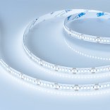 Светодиодная лента RT-A240-10mm 24V Cool 8K (19.2 W/m, IP20, 3528, 5m) (Arlight, 19.2 Вт/м, IP20)