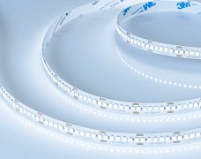 Светодиодная лента RT-A240-10mm 24V Cool 8K (19.2 W/m, IP20, 3528, 5m) (Arlight, 19.2 Вт/м, IP20)