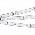 Светодиодная лента DMX-5000P-5060-60 24V Cx6 RGB (14mm, 12.5W, IP66) (Arlight, Закрытый, IP66)