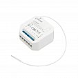 INTELLIGENT ARLIGHT Актуатор TY-SWITCH-702-72-PS-IN (230V, 2x1.7A, Curtain, TUYA Wi-Fi, 433MHz) (IARL, IP20 Пластик, 3 года)