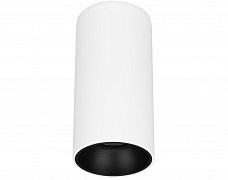 Светильник SP-SALT-R75-15W Day4000 (WH-BK, 40 deg, 230V) (Arlight, IP54 Металл, 5 лет)