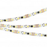 Светодиодная лента SPI-5000-AM 12V Day4000 (5060, 60 LED/m, x3) (Arlight, Открытый, IP20)