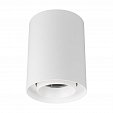 Светильник SP-FOCUS-R110-18W Day4000 (WH, 15 deg, 230V) (Arlight, IP54 Металл, 5 лет)